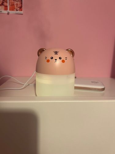 Customer photo review of Simply Meow Humidifier Night Light