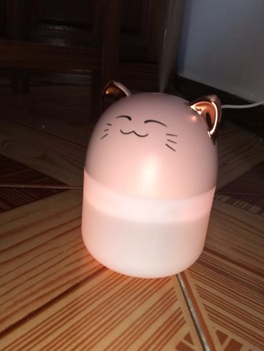 Customer photo review of Simply Meow Humidifier Night Light