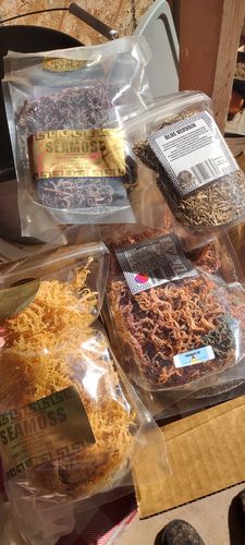 Customer photo review of Route Package Protection