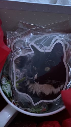 Customer photo review of Buy 1 Get 2 Free Special Offer