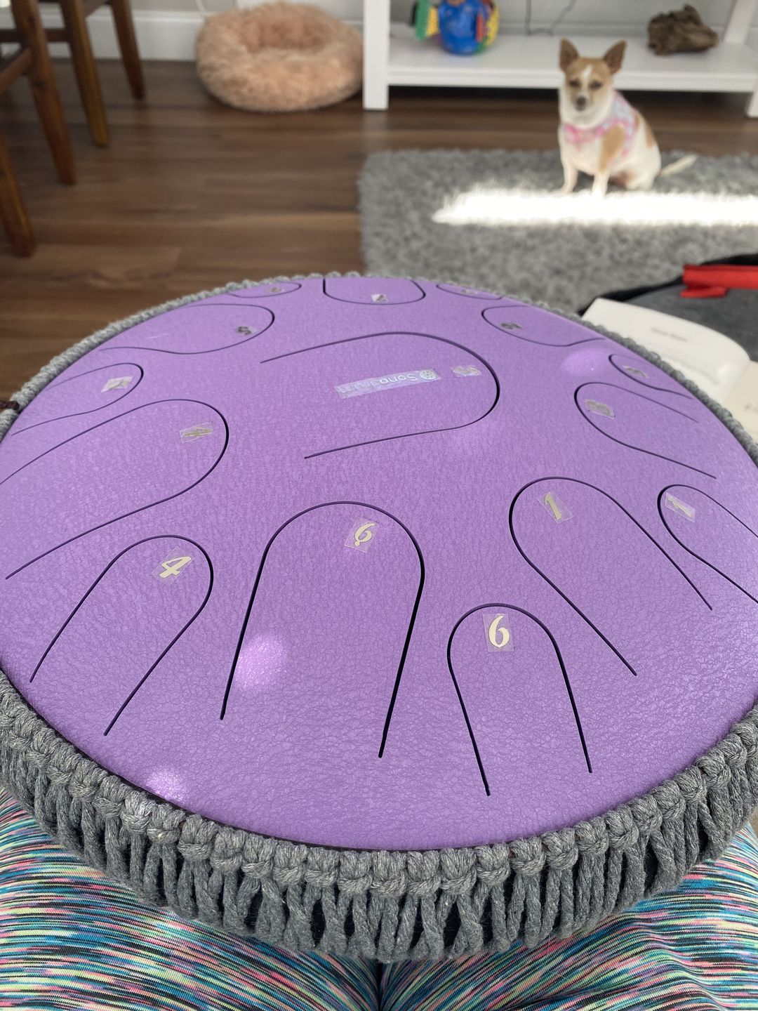 Customer photo review of Steel Tongue Drum "Premium" -  13″ - 15 Tongues - C Major