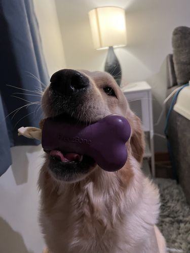 Customer photo review of Freezbone