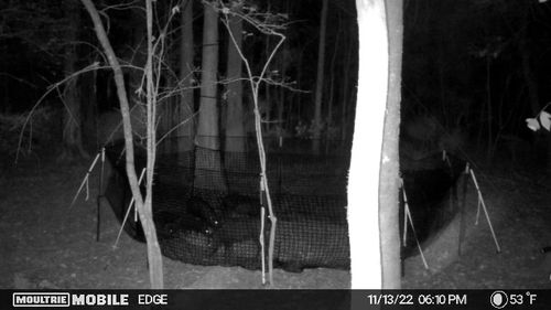 Customer photo review of Pig Brig Trap System