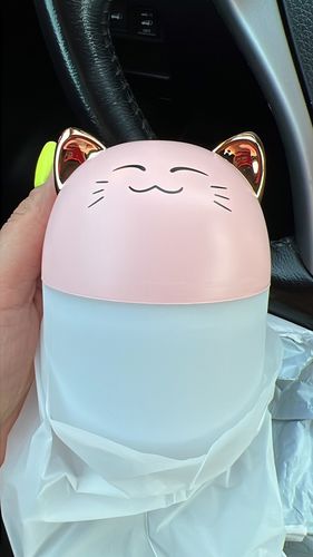 Customer photo review of Simply Meow Humidifier Night Light