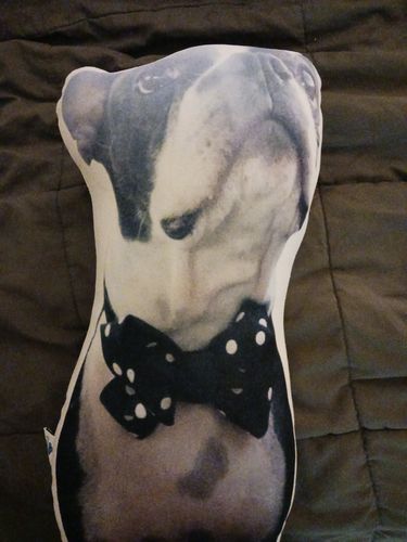 Customer photo review of Create A Custom Dog Pillow