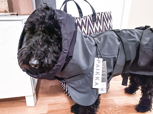 Customer photo review of Visibility Raincoat Dark for Dogs