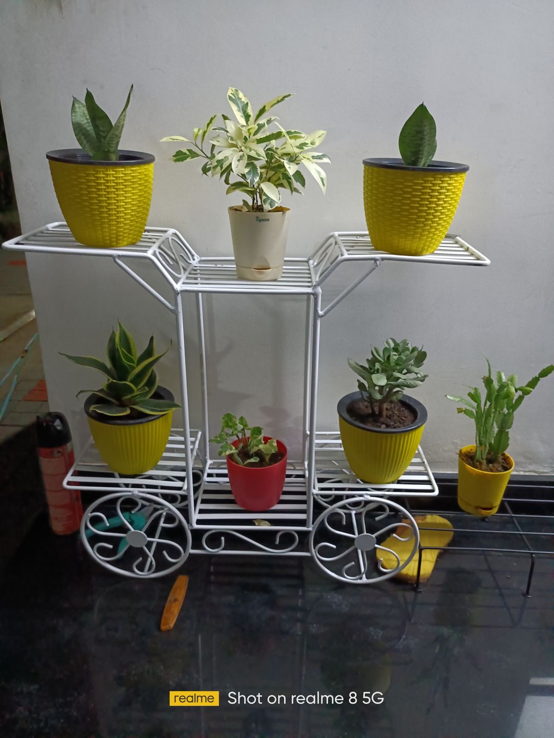 Customer photo review of 6-Tier Cart Planter Stand, Outdoor Flower Rack