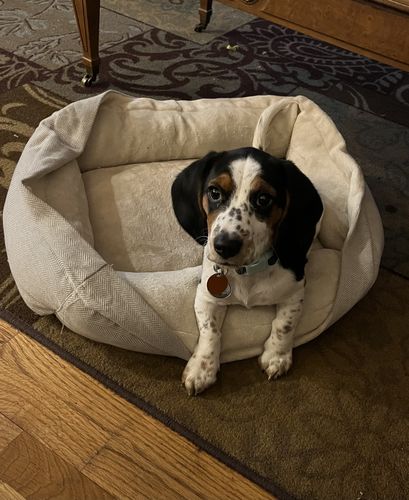 Customer photo review of Explorer