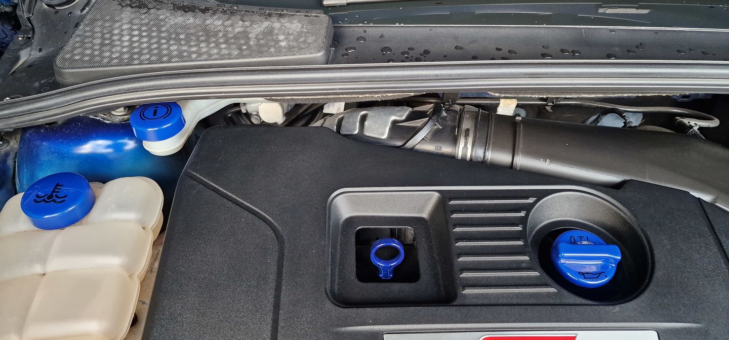 Customer photo review of Dipstick - Focus MK3/3.5 Petrol ST/ RS