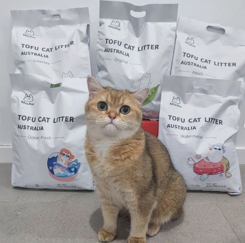 Customer photo review of Michu Natural Clumping Tofu Cat Litter 2.5kg/6L