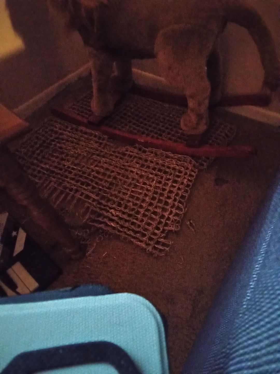 Customer photo review of 1765 Seagrass Mat 14X24