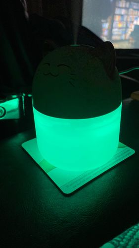 Customer photo review of Simply Meow Humidifier Night Light