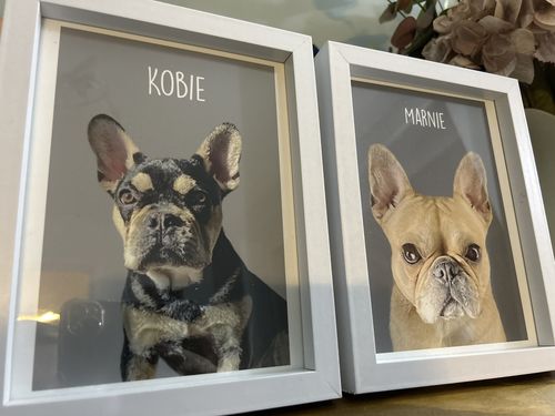 Customer photo review of Classic - Custom Pet Portrait