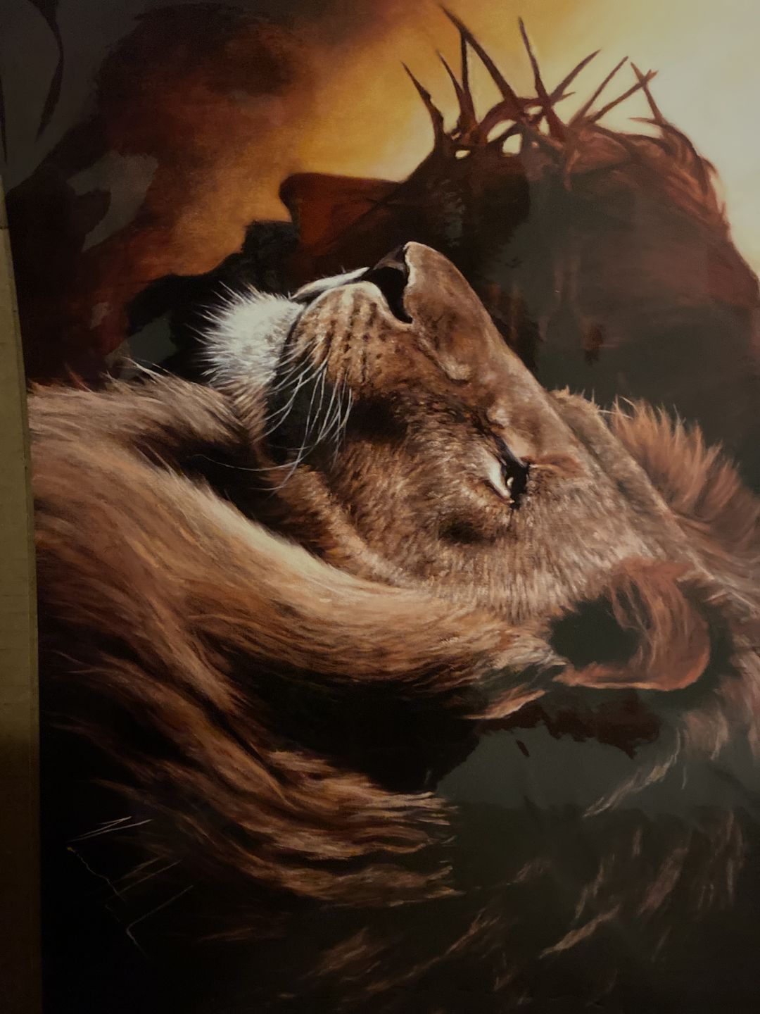 Customer photo review of Courage & Strength