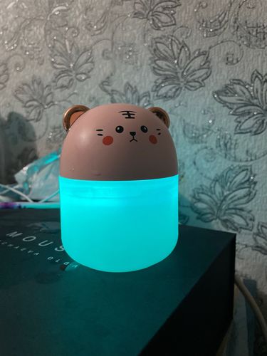 Customer photo review of Simply Meow Humidifier Night Light