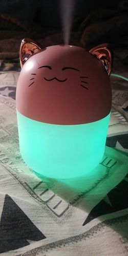 Customer photo review of Simply Meow Humidifier Night Light