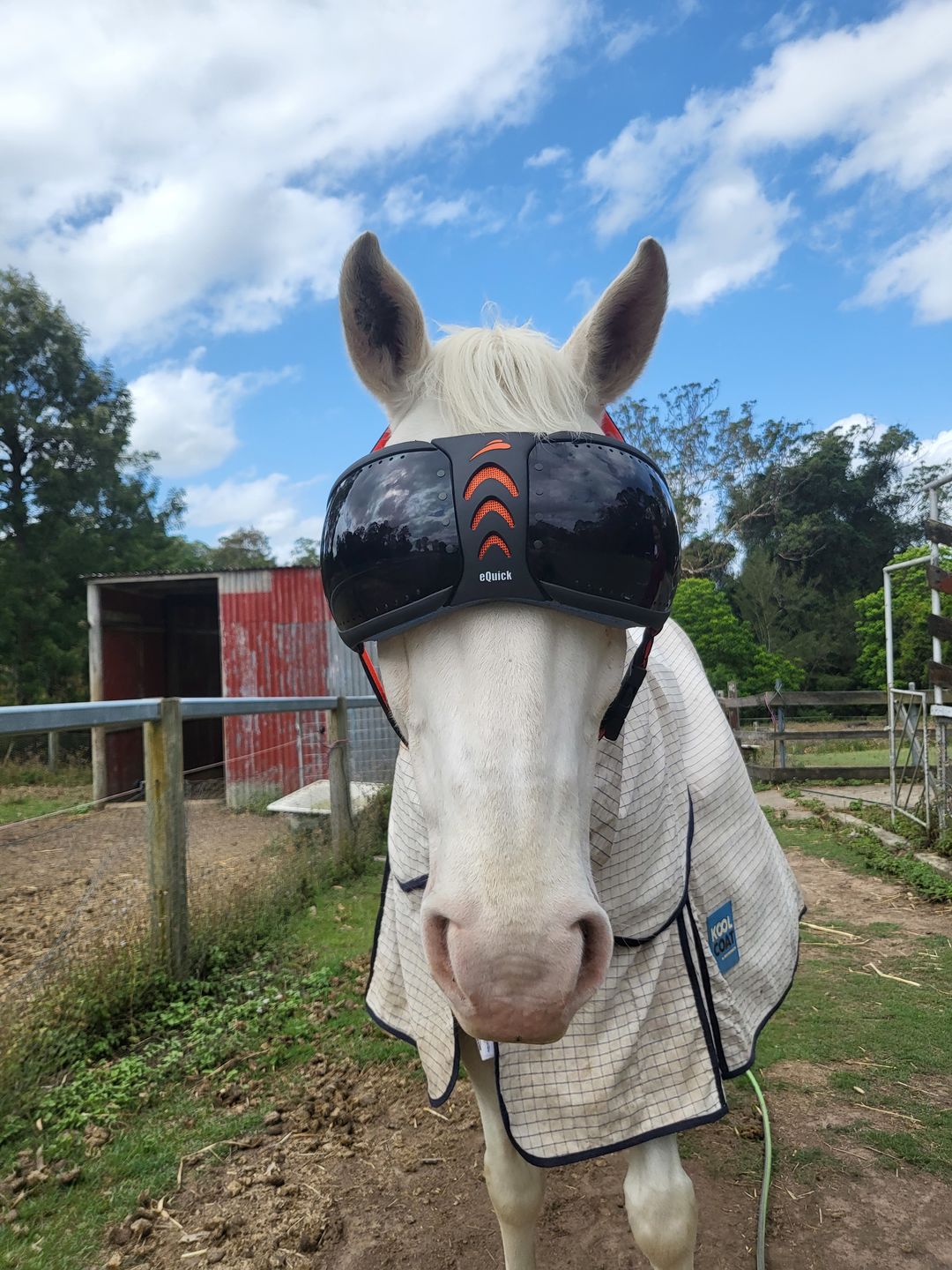 Customer photo review of eVysor - UV Horse Riding Goggles!
