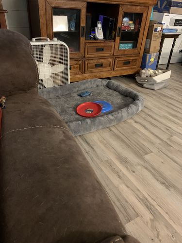 Customer photo review of Comfortable Bolster Pet Bed for Dogs & Cats | Ultra soft Synthetic fur