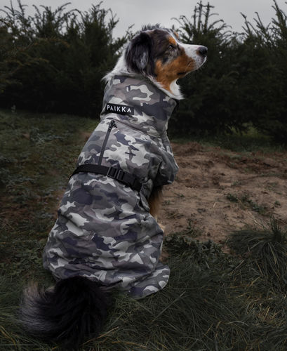 Customer photo review of Visibility Winter Jacket Camo for Dogs