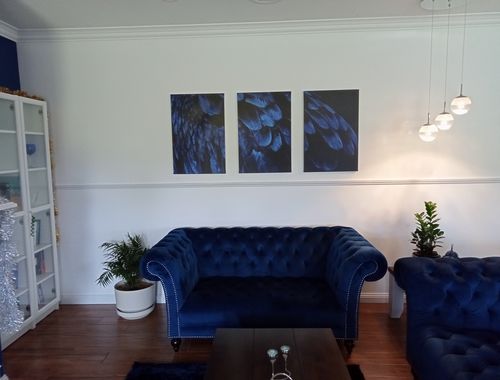 Customer photo review of Birds Of A Feather - Three Piece Blue Feather Photographic Art Print  Set