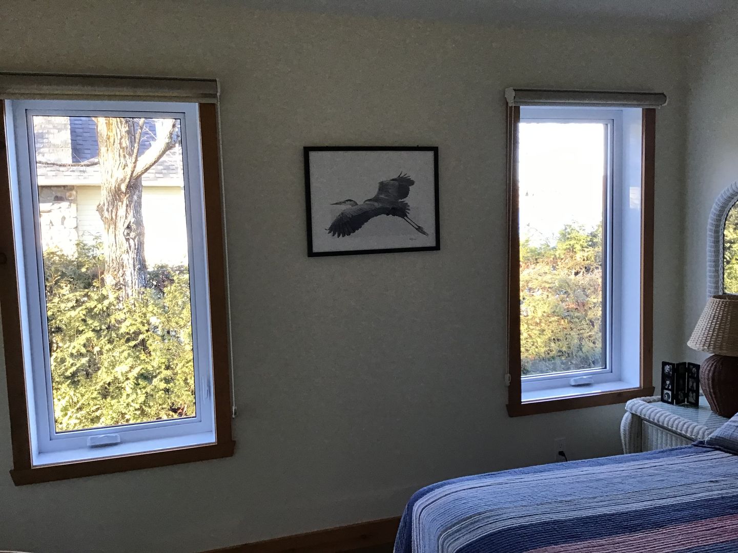 Customer photo review of Great Blue Heron - illustration
