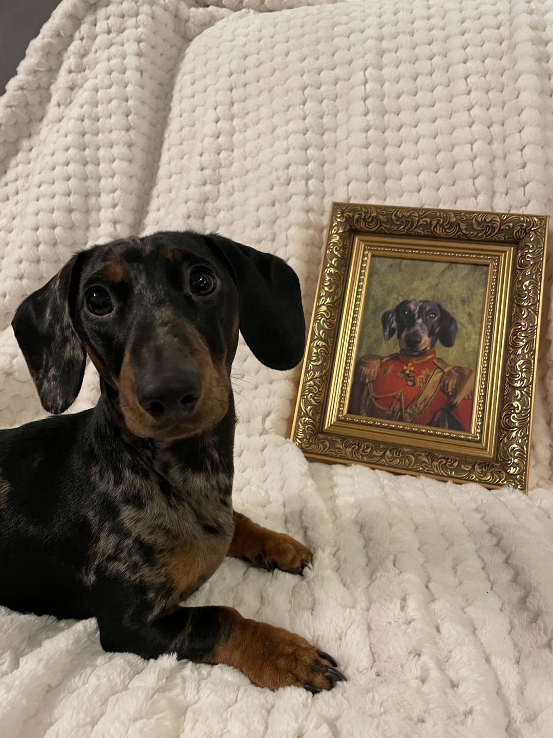 Customer photo review of The Duke: Custom Pet Portrait