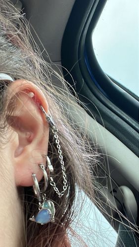 Customer photo review of 95z "Partners in Crime" Earrings