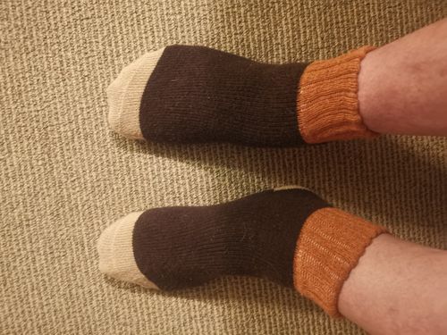 Customer photo review of Women Winter Wool Thick Socks(5 Pairs)