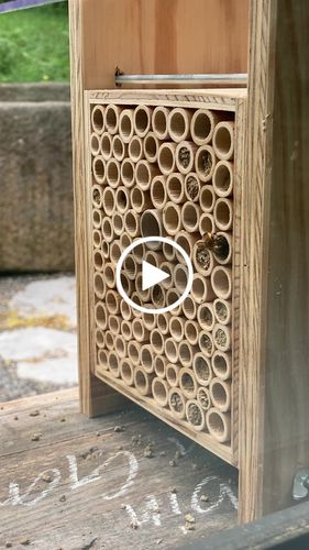 Customer video review of BeeHome Classic