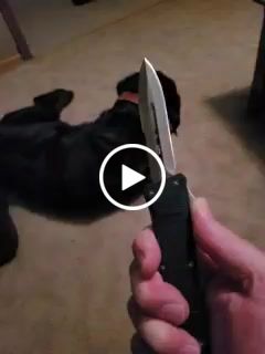 Customer video review of Blue Phantom D/A OTF