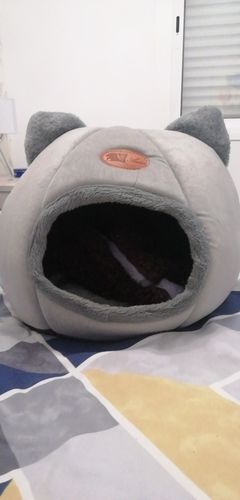 Customer photo review of Cosy Calming Cat Cave
