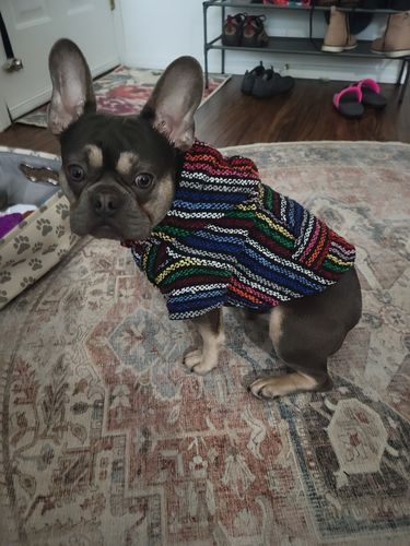 Customer photo review of Playa Poncho