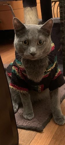 Customer photo review of Playa Poncho