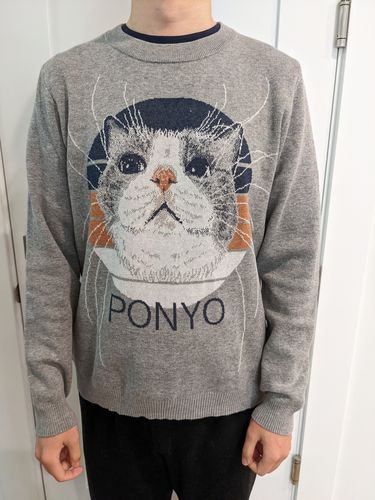 Customer photo review of Full-Body Pet Custom Sweater