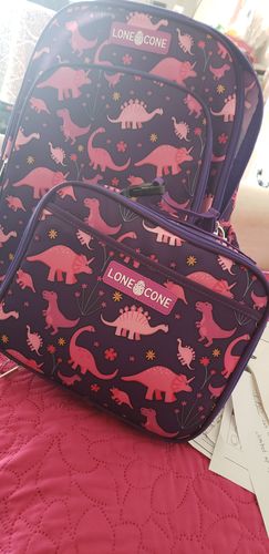 Customer photo review of Pink Dinosaurs Standard Lunchbox