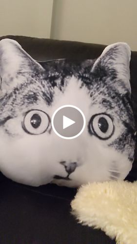 Customer video review of Create A Custom Cat Pillow