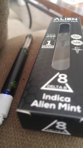 Customer photo review of Alien Alien Mint 1g Delta 8 Disposable