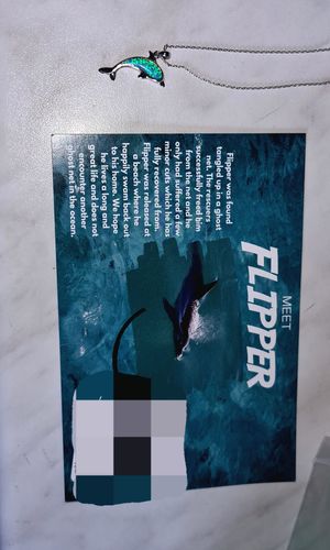Customer photo review of Save a Dolphin Necklace