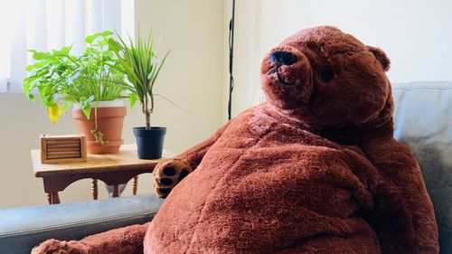 Customer photo review of SKOGGY BEAR