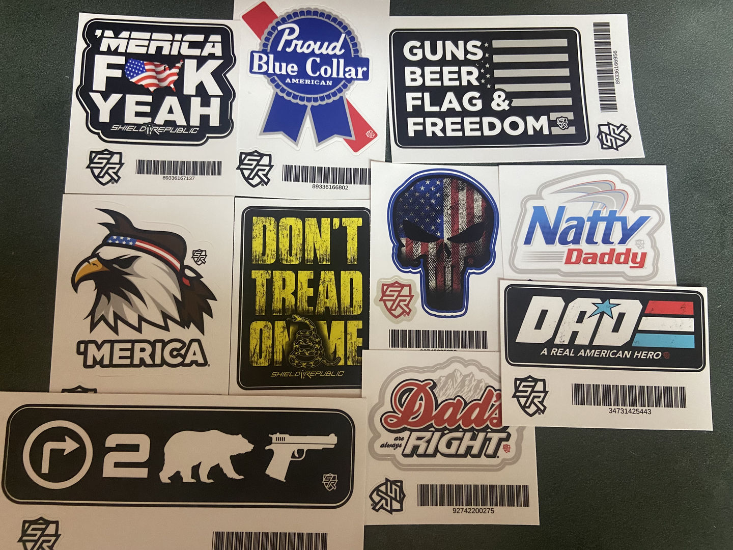 Customer photo review of Right 2 Bear Arms Decal