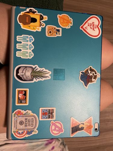 Customer photo review of 2021 Minis Collection Sticker Pack
