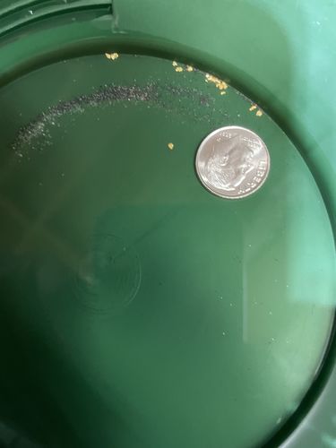 Customer photo review of Nugget Reserve 'MUSEUM SPECIMEN CHASE' - Gold Panning Paydirt Concentrate