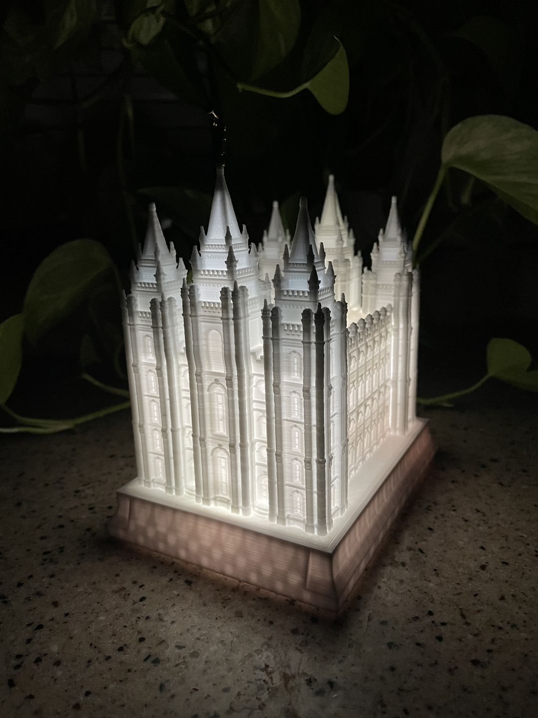 Customer photo review of Salt Lake Temple Music Light