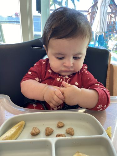 Customer photo review of Variety Pack - Nut Butter Puffs & Peanut Puffs