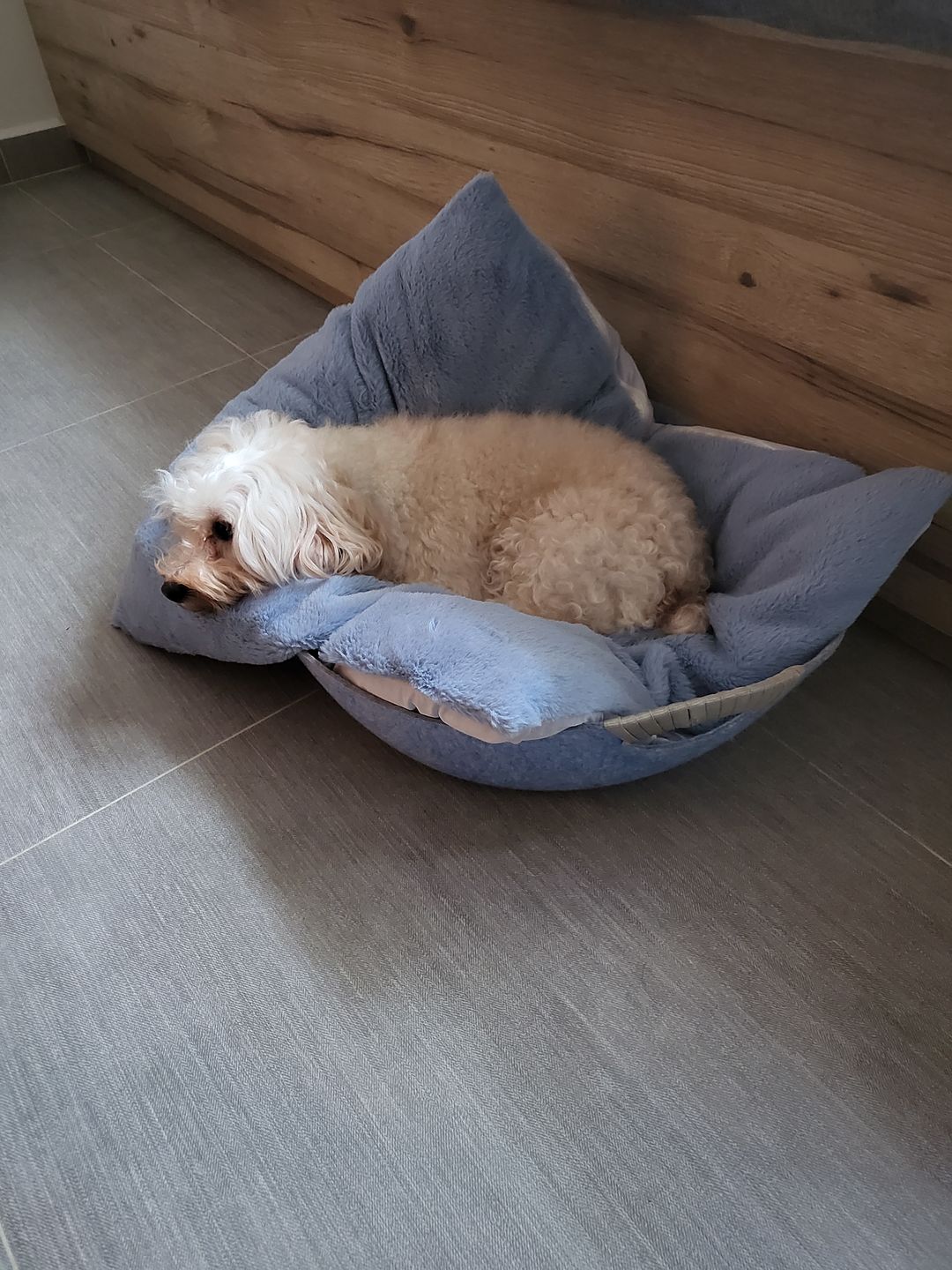 Customer photo review of arrr Sleeping Blanket