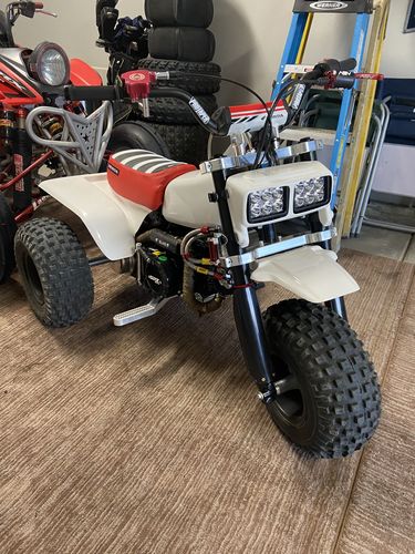 Customer photo review of Custom Gripper Seat Cover