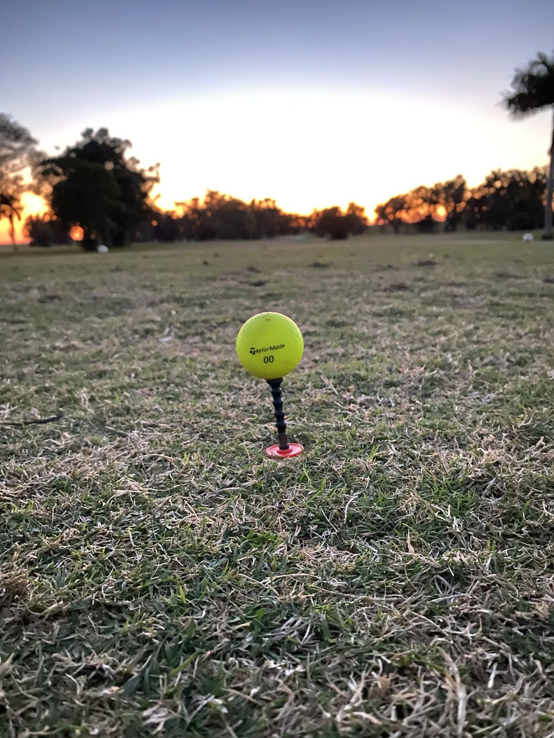 Customer photo review of Telos Premium Golf Tees