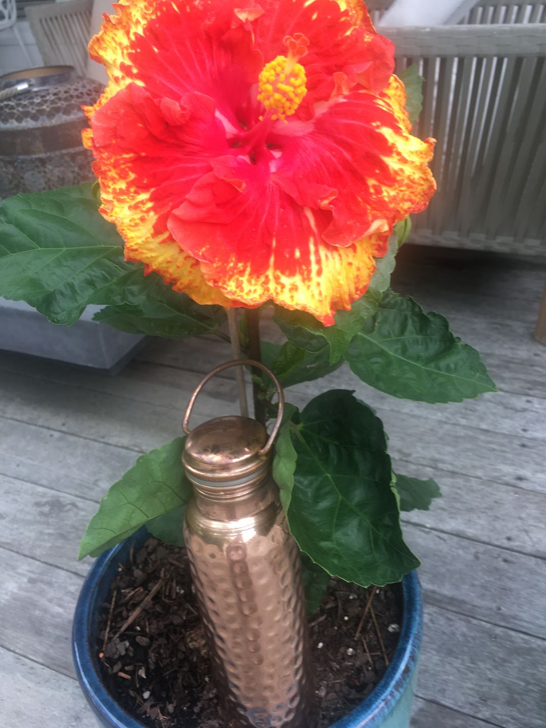 Customer photo review of Copper Water Bottle