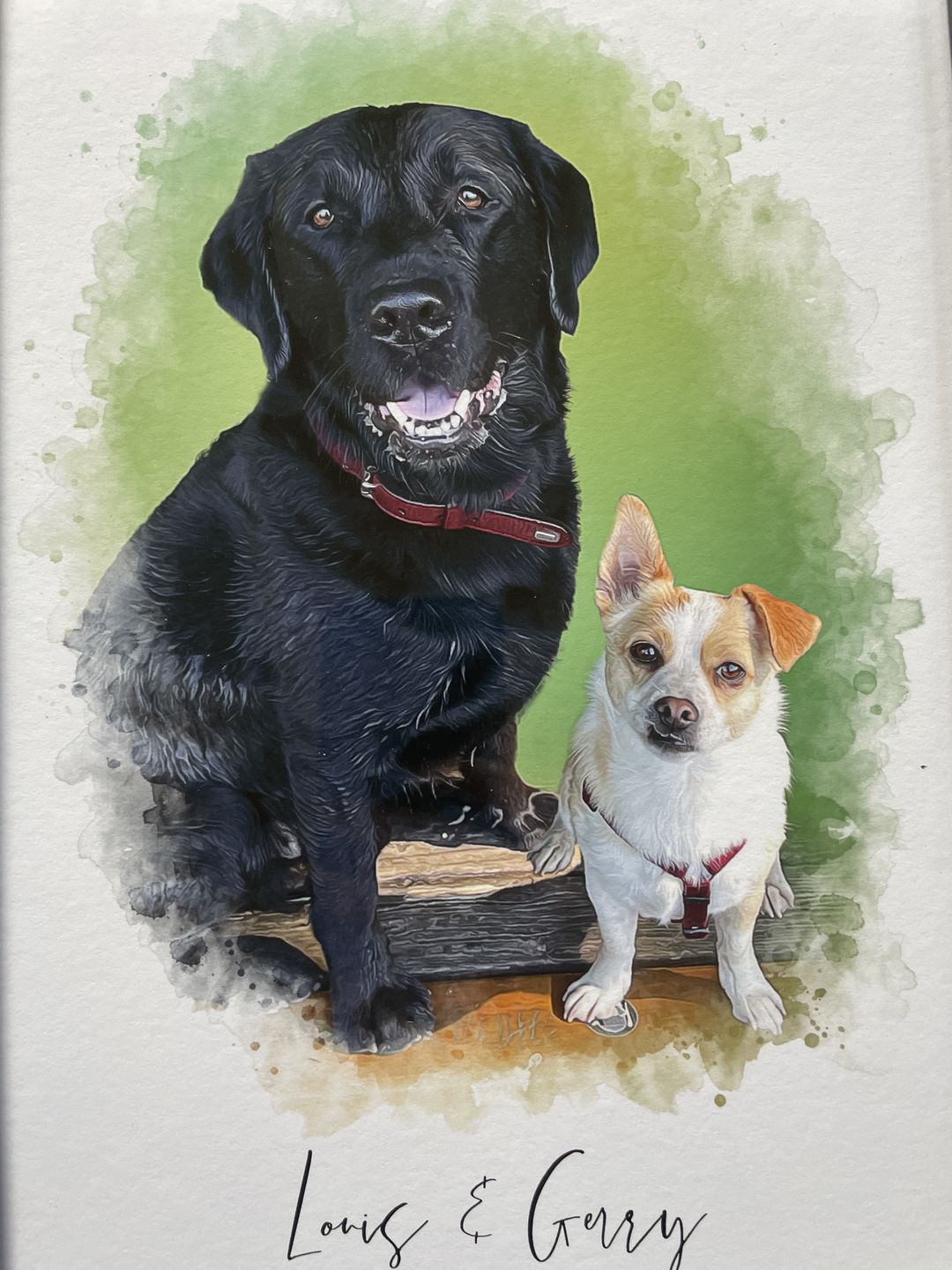 Customer photo review of Portrait deines Tieres im Wasserfarben-Stil
