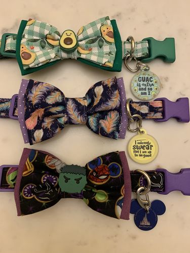 Customer photo review of Boho feather dog collar with bow tie